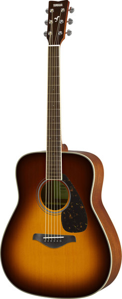 FG820 (brown sunburst)
