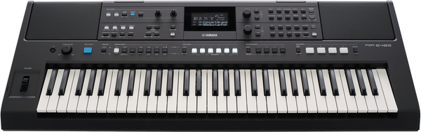 PSR-E483