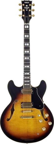 SA 2200 (Brown Sunburst)