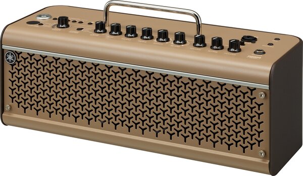 THR-30IIA Wireless Acoustic Guitar Amplifier