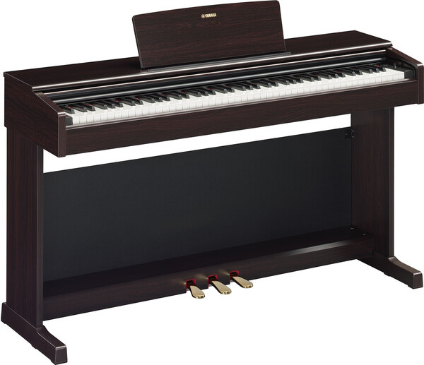 YDP-145 (dark rosewood)