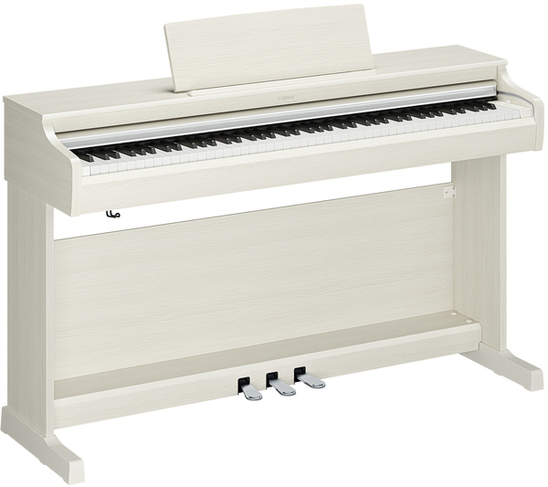 YDP-166 (white birch)