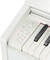 Casio PX-770 (white)