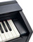 Casio PX-870 (black)