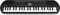 Casio SA-81 (black)