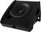 EV PXM-12MP / 12' Powered Coaxial Monitor (black)