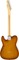 Fender American Performer Telecaster RW (honey burst)