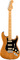 Fender American Pro II Strat HSS MN (roasted pine)