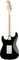 Fender Eric Clapton Signature Custom Stratocaster MN (Black)