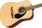 Fender FA-125 Dreadnought Acoustic Pack (natural)