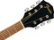 Fender FA-135 Concert Guitar WN (black)