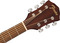 Fender FA-135 Concert WN (all mahogany)