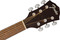 Fender FSR FA-230E Concert (olive)