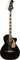 Fender Kingman Bass V2 (black)