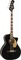 Fender Kingman Bass V2 (black)