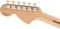 Fender LTD Tom Delonge Stratocaster (black)