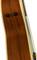 Fender Newporter Player (surf green)
