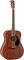 Fender PM-1 All-Mahogany Dreadnought NE All-Mahogany (Natural)