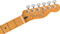 Fender Player Plus Telecaster MN (sienna sunburst)