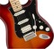 Fender Player Stratocaster HSS Plus Top MN (aged cherry burst)