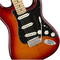 Fender Player Stratocaster Plus Top MN (aged cherry burst)