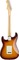 Fender Player Stratocaster Plus Top PF (tobacco burst)