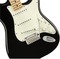 Fender Player Stratocaster SSS MN (black)