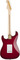 Fender Richie Kotzen Stratocaster (transparent red burst)
