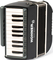 Hohner XS Piano Adult Accordion / A2902 (dark grey / white, incl. gigbag)