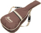 Ibanez AE245JR-OPN (Natural + Bag)