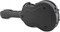 Jakob Winter JW 51051 CAB / Greenline Classical Guitar Case (carbon gray)