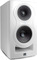 Kali Audio IN-5 (white)