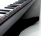 Korg RK-100S2 Keytar (translucent black)