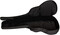 Ritter RGD2 335 Guitar (anthracite)