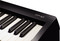 Roland FP-10 (black)