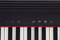 Roland GO-61P GO:Piano