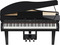 Roland GP3 Digital Piano (black gloss)