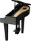 Roland GP3 Digital Piano (black gloss)