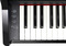 Roland GP3 Digital Piano (black gloss)