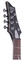 Schecter Damien Platinum-7 (satin black)