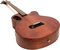 Spector Timbre Jr. (walnut stain)