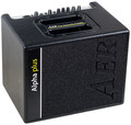 AER Alpha Plus Acoustic Guitar Amplifiers