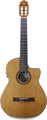 APC Instruments 1C CW Slim Classic Guitar (highgloss, incl. bag)