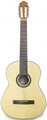 APC Instruments 1F Flamenco Guitar (incl. bag)