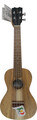 APC Instruments CS Ukulele Concert (incl. bag)