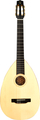 APC Instruments Lute Guitar (walnut, incl. bag) Miscellaneous Traditional String Instruments