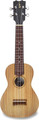 APC Instruments SS Ukulele Soprano