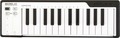 Arturia MicroLab (black) Masterkeyboard de 25 teclas