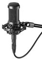 Audio-Technica AT2050 / 2050 Condenser Microphones