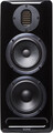Avantone Pro Mix Tower MT-MB / Actice Dual Mode 3-Way monitor (single, black) Moniteurs studio